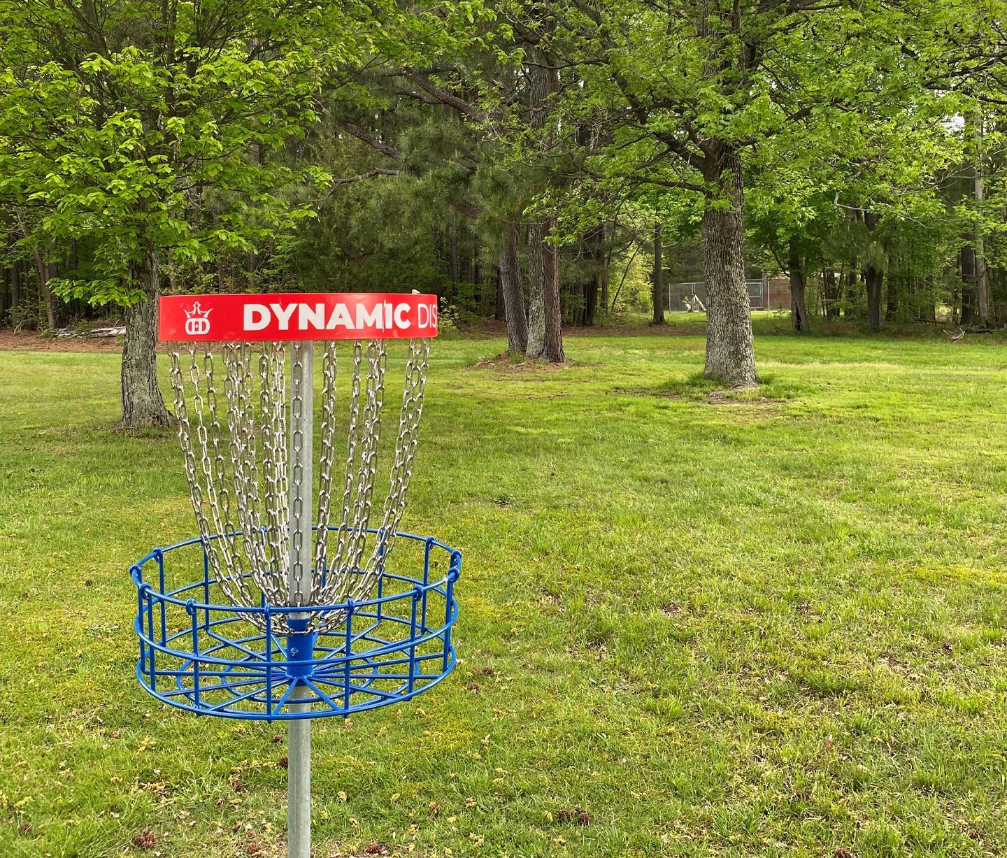 disc golf basket in a park setting